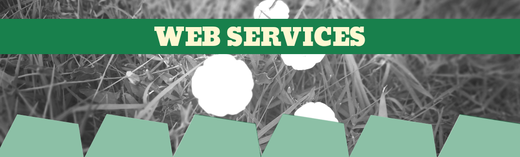 DIGICULTURA SOLUTIONS - Web Services